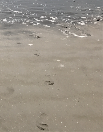 A photograph of footprints in the sand, which can be preserved and exposed via coastal erosion.