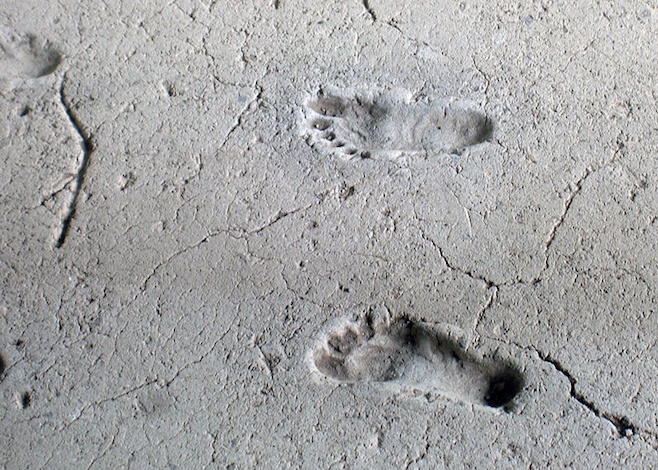 A photograph of prehistoric footprints found in Nicaragua.