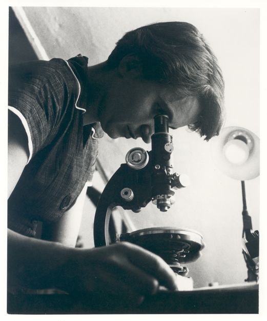 A photograph of Rosalind Franklin using a microscope.