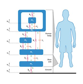 lumped-model-human-body-featured