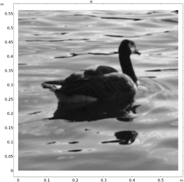 A denoised image of a goose.