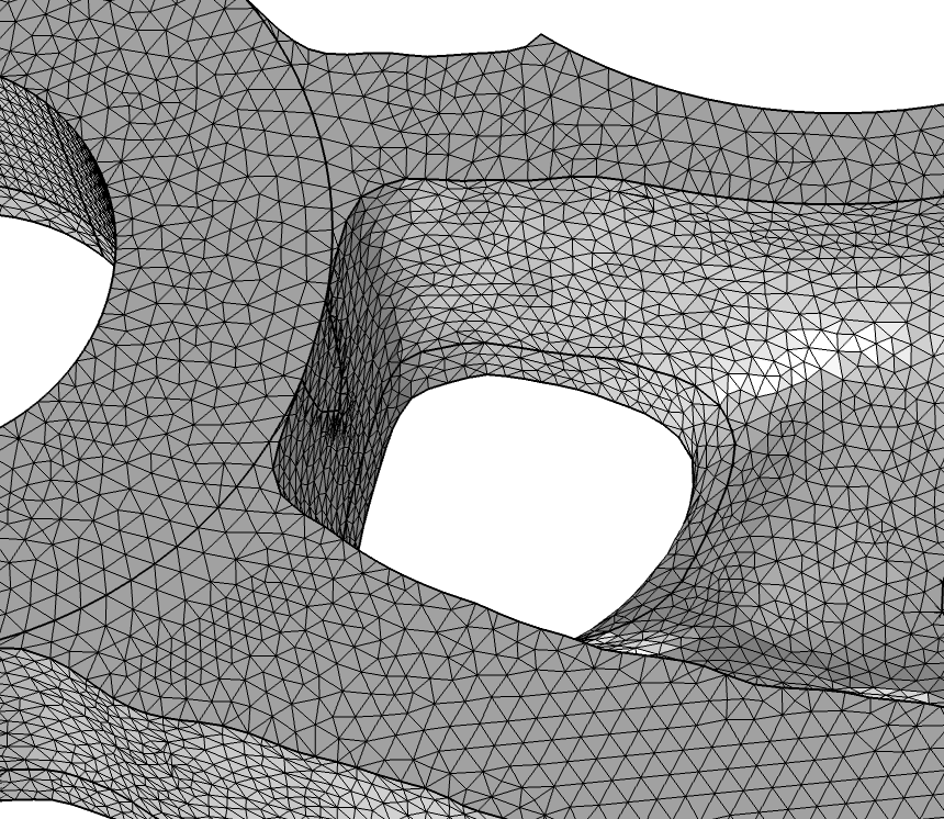 A screenshot of the mesh after using the Adapt operation.