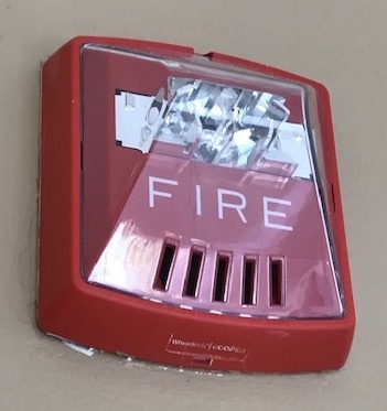 A photograph of a typical building fire alarm horn.