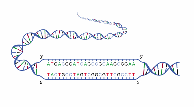 Speeding Up DNA Separation In A Microchannel Via Simulation COMSOL Blog