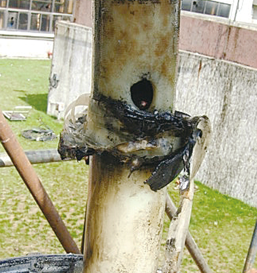 A closeup view of damaged cable insulation.