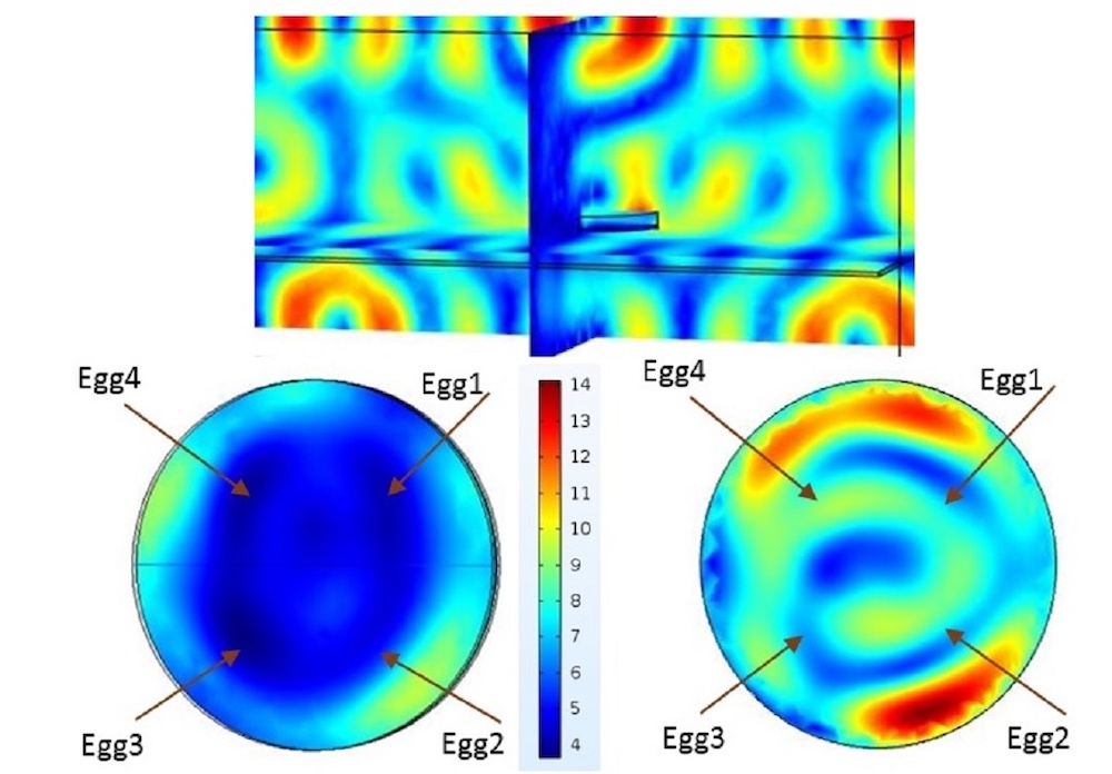 Simulation results comparing the probe placement for heating eggs.