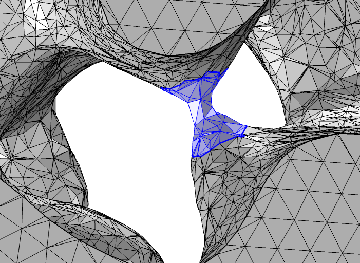 A mesh with the bridge isolated and highlighted in blue.