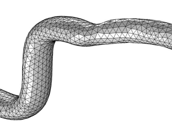 The resulting mesh, with the two faces joined. 