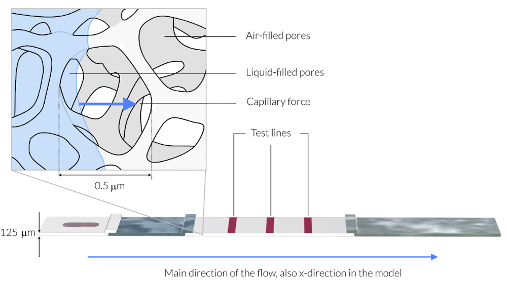 Схематическое изображение экспресс-теста, в увеличенном масштабе показан образец жидкости, просочившийся к пористой мембране.