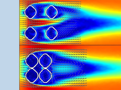 Studying a 500-Million-Year-Old Dinner Party with CFD Simulation