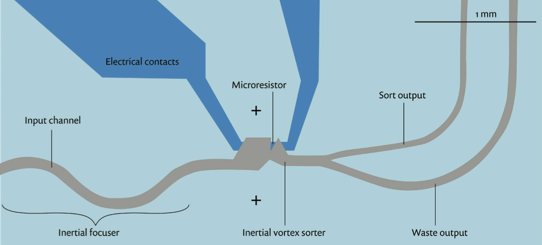 A diagram showing the components of the vortex-actuated cell sorter.