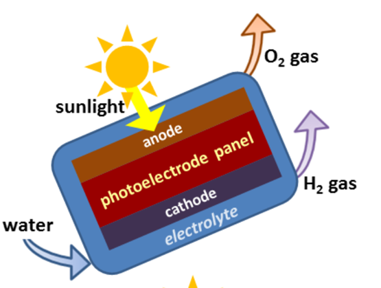 Eine schematische Darstellung einer PEC-Zelle mit der Kennzeichnung von Anode, Photoelektrodenplatte, Kathode, Elektrolyt, Wasser, Sonnenlicht und Gasen.