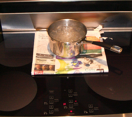 A photograph of an induction stovetop boiling water in a pot.