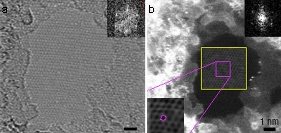Two side-by-side scanned images of a graphene monolayer, with the left image being in bright field mode and the one on the right being in dark field mode with yellow and purple markers.