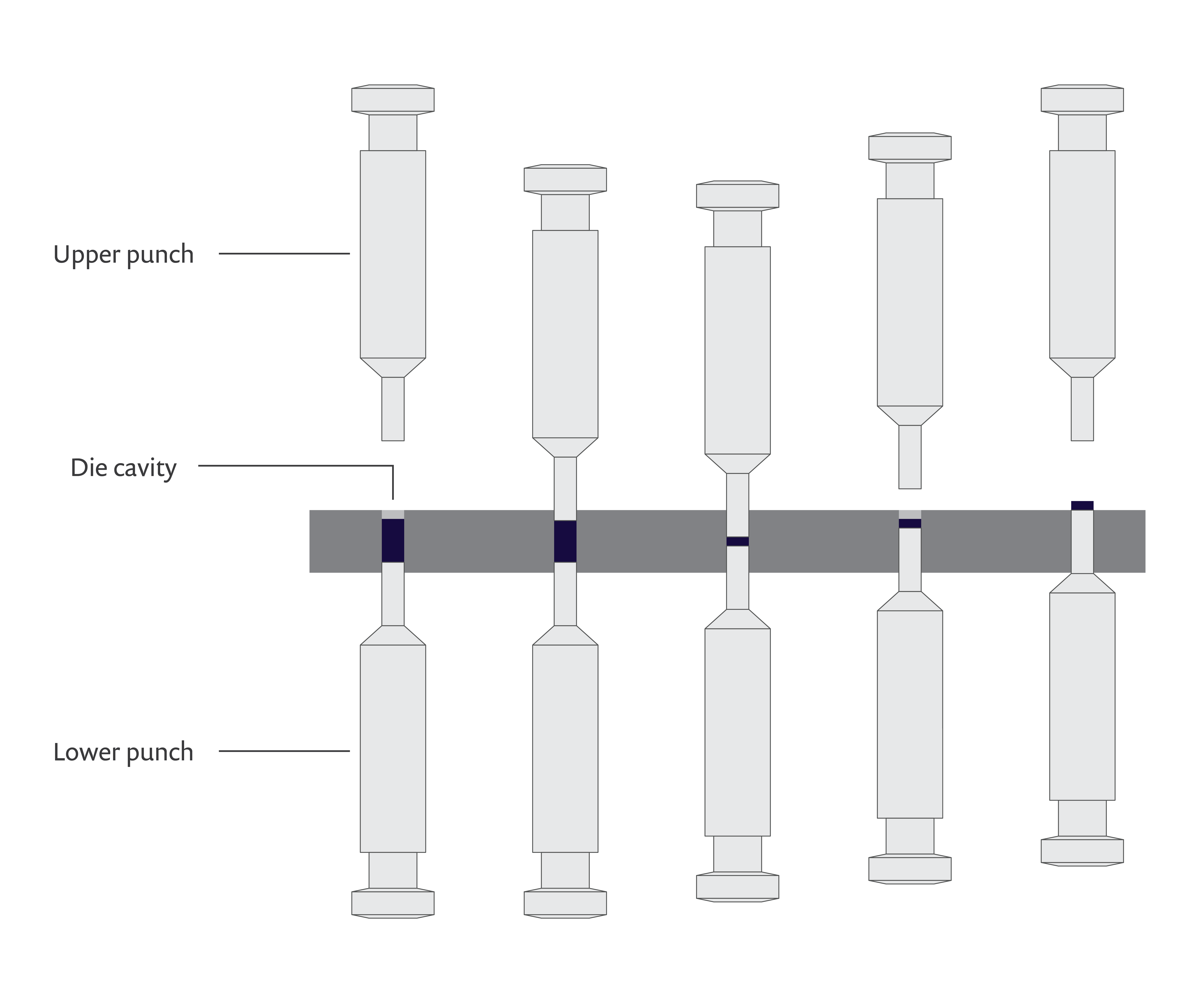 A schematic showing the pharmaceutical tableting process, which features an upper punch, a die cavity, and a lower punch.