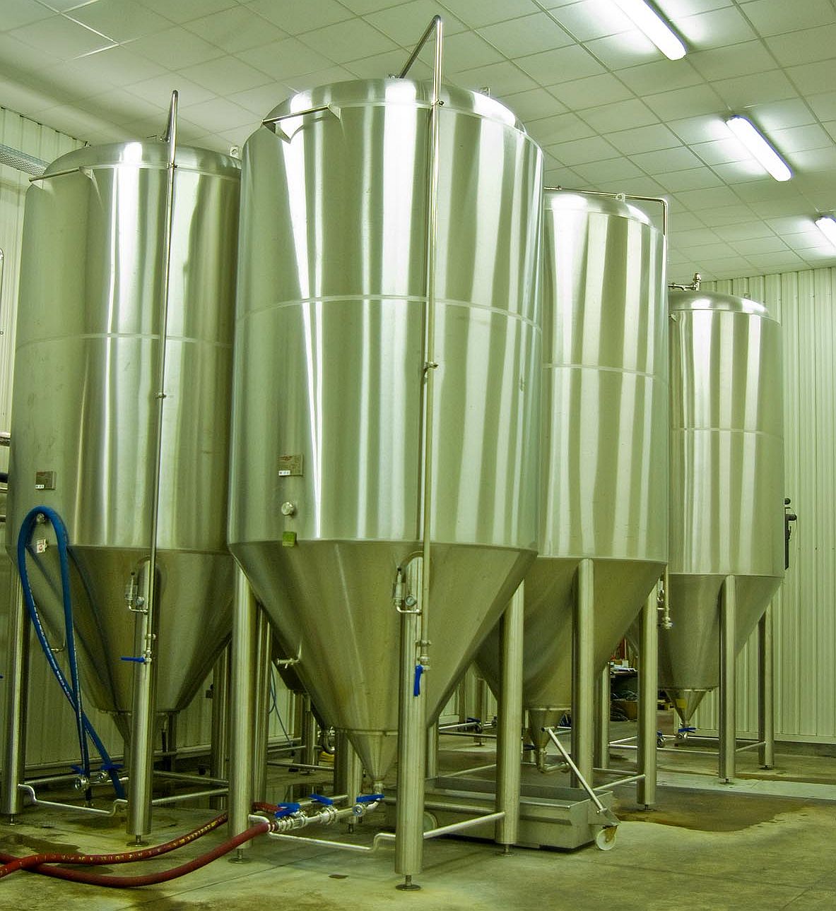 A group of tightly spaced fermentation tanks.