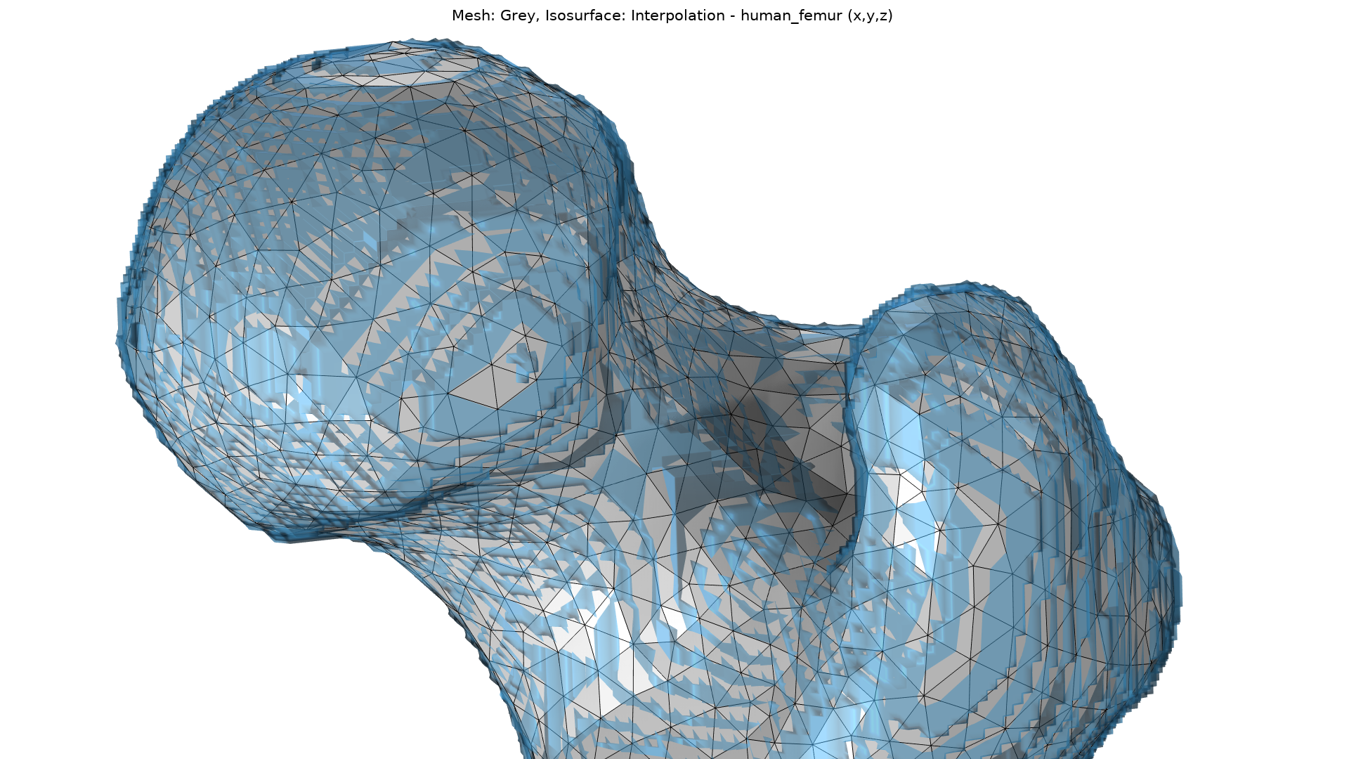 A close-up of the top of a femur. Here, we can see a comparison of the generated mesh (shown in gray) and the imported data (shown in blue).