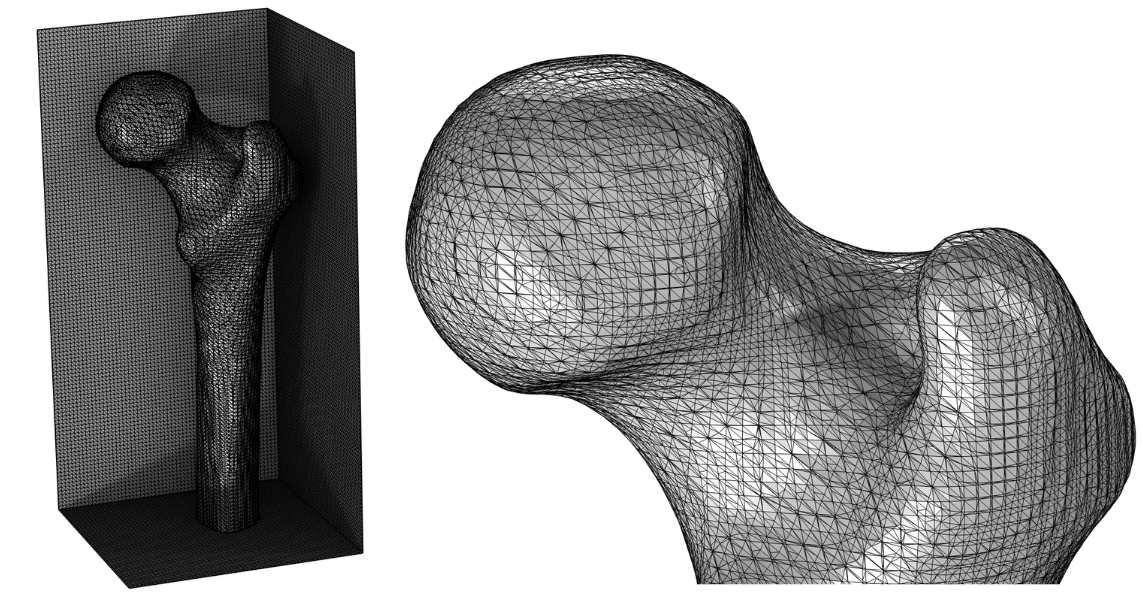 The imported Partition dataset of the mesh of the femur is shown at left, and a close-up of the top of the femur is shown at right. The surface mesh contains large, small, and sliver triangles.