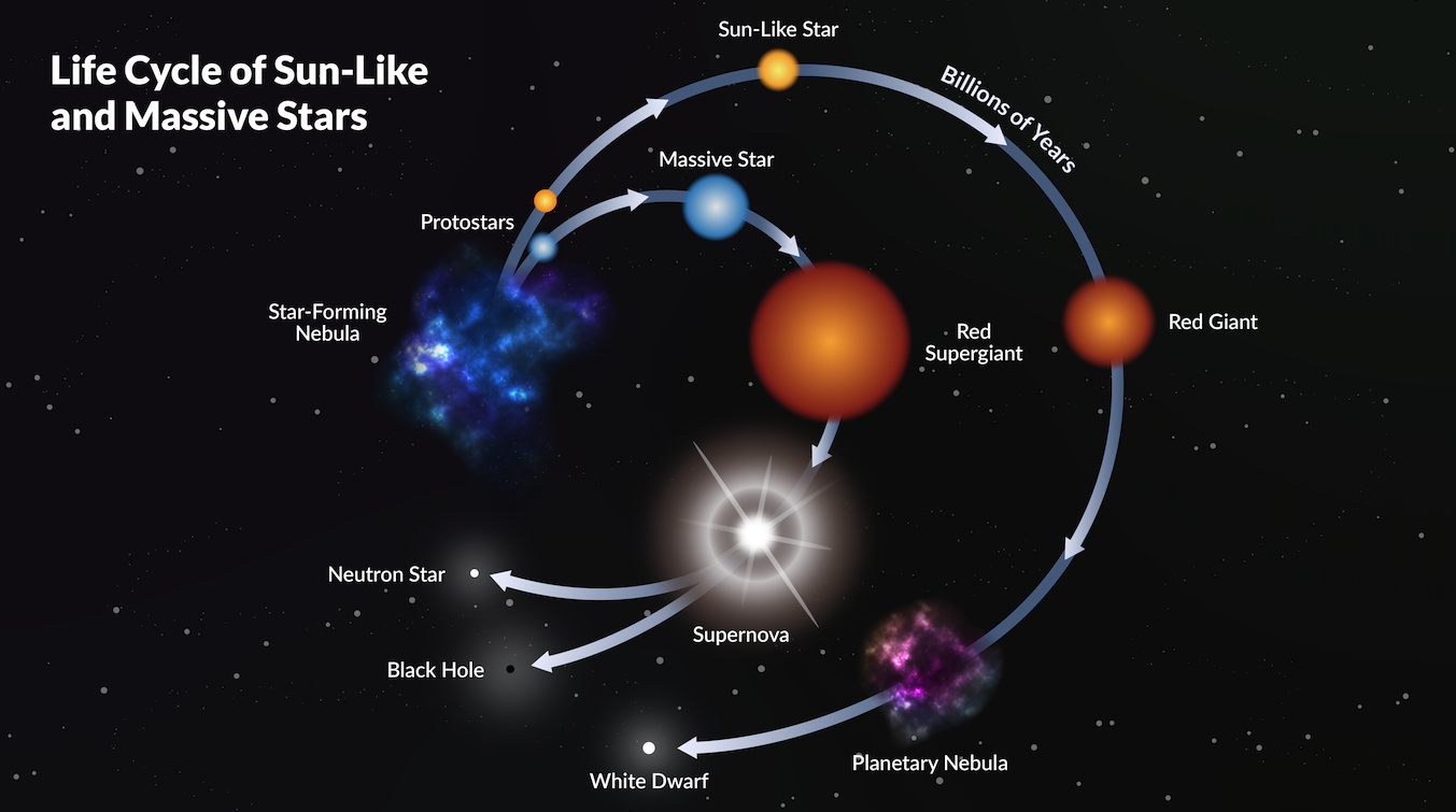 A schematic of the life cycle of sun-like and massive stars.